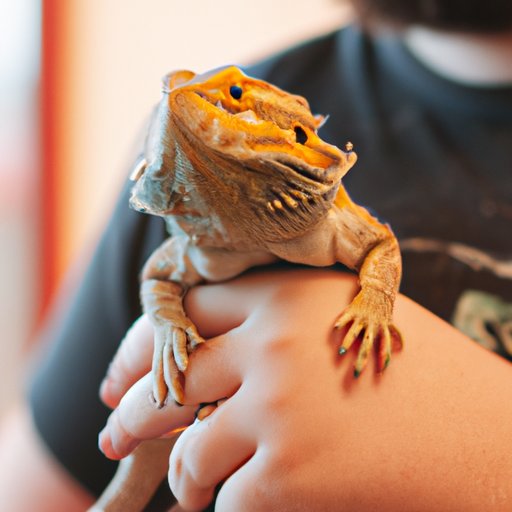 The Pros and Cons of Owning a Large Bearded Dragon