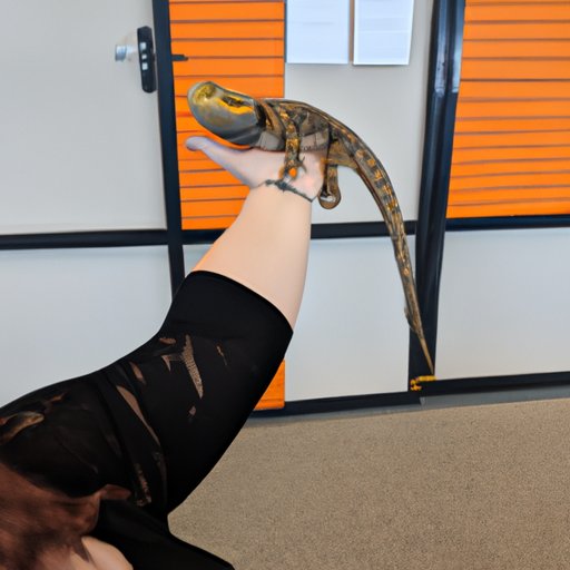 Exploring the Maximum Size of Bearded Dragons