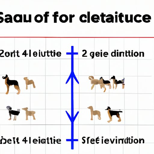 How Big Does a Chicken Coop Need to Be? A Guide to Building the Perfect