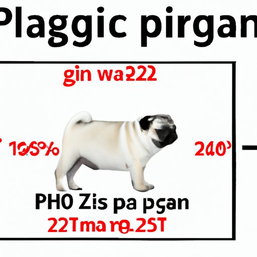 Overview of the Average Size of a Pug