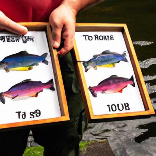 Factors That Determine the Maximum Size of Rainbow Trout