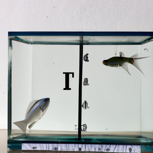 How Big Does Fish Have To Be To Keep An InDepth Exploration The