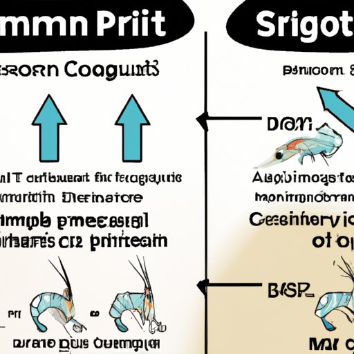 A Guide to Understanding the Growth Potential of Ghost Shrimp