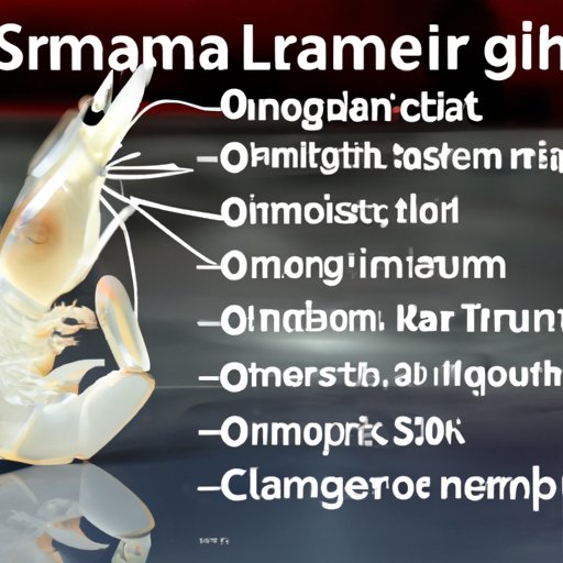 What You Should Know About Ghost Shrimp Sizes