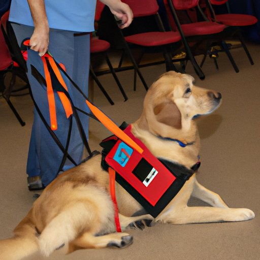 Training Necessary for Service Dogs
