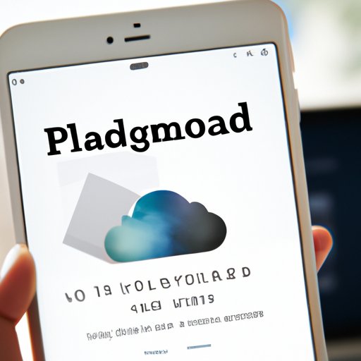 Downloading Your Photos from iCloud