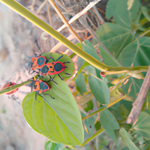 Look for Their Name in Search