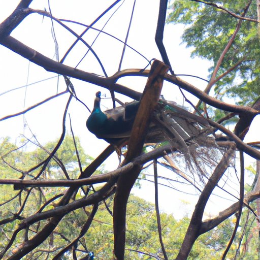 See if you can still view their Story