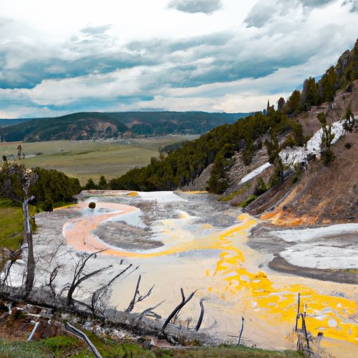 Find Free Episodes of Yellowstone Online