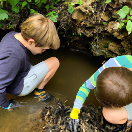 Exploring Different Formats for Watching Where the Crawdads Sing