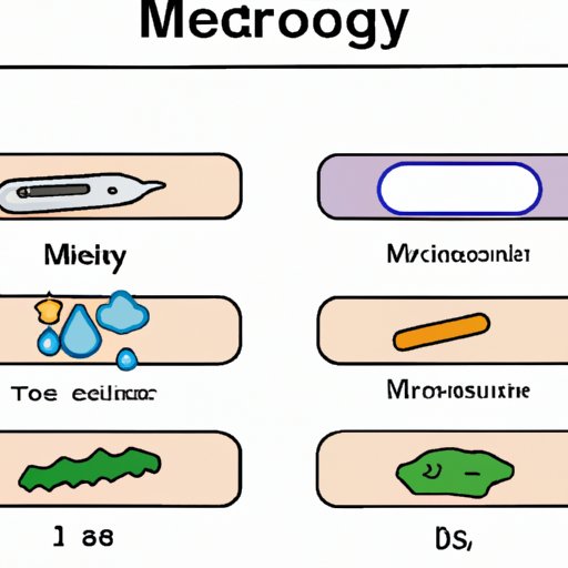How Cold Does a Fridge Need to Be? Exploring the Ideal Temperature for