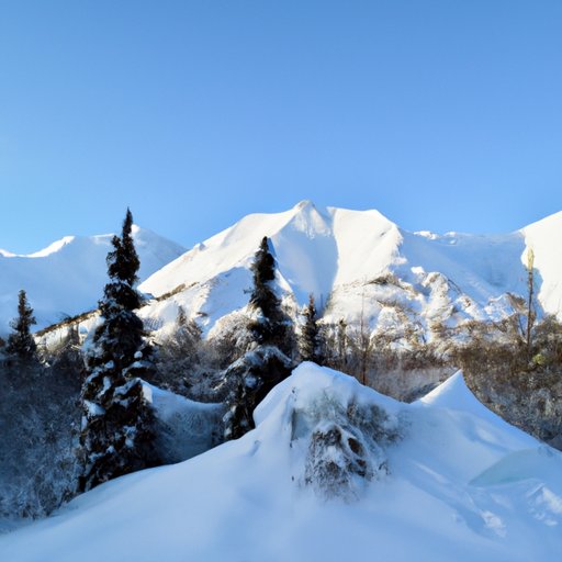 Surviving an Alaskan Winter: Tips and Advice