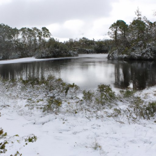 Exploring the Effects of Winter Weather on Floridians