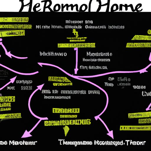 Charting the Path of Hormones Throughout the Body