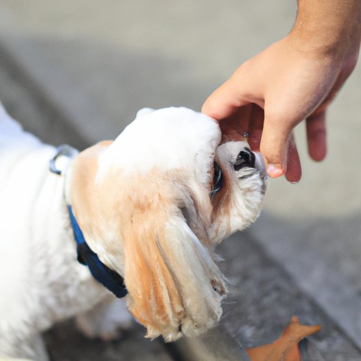 Pick Up After Your Pet