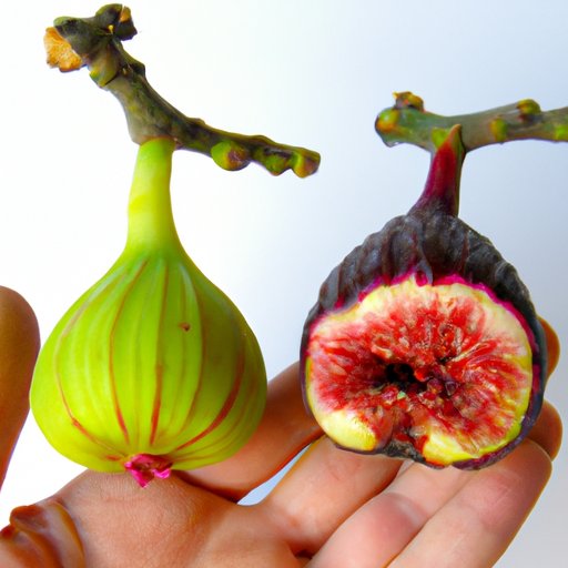 Comparing Ripe and Unripe Figs