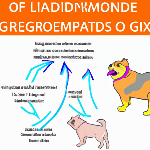 Potential Complications of Giardia in Dogs