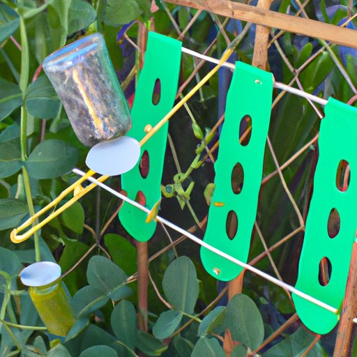 Creative Ways to Use a Pea Trap in Your Home and Garden