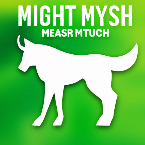 Myths and Misconceptions about Wireless Dog Fences 