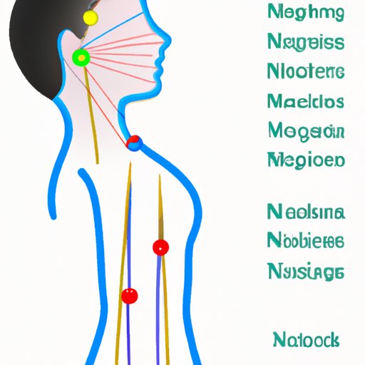 Exploring How Does Acupuncture Work Benefits, Science & History The Enlightened Mindset