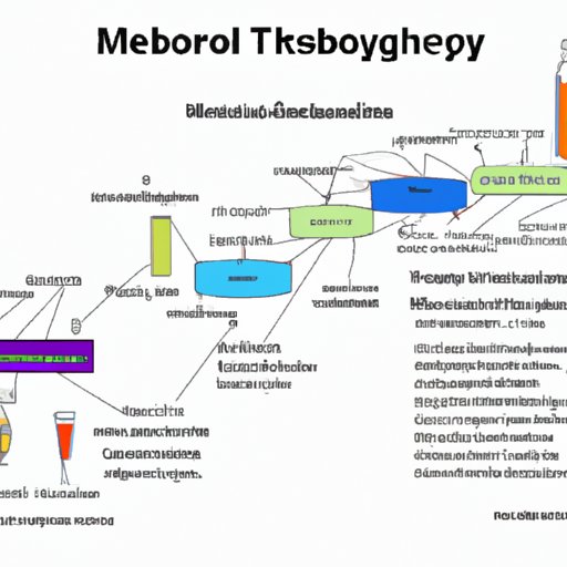Examining the Role of Metabolism in Alcohol Intoxication