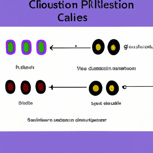 Exploring the Different Types of Cell Division and Their Role in Increasing Size