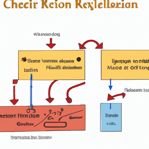 Breaking Down the Chemical Reactions of Cellular Respiration