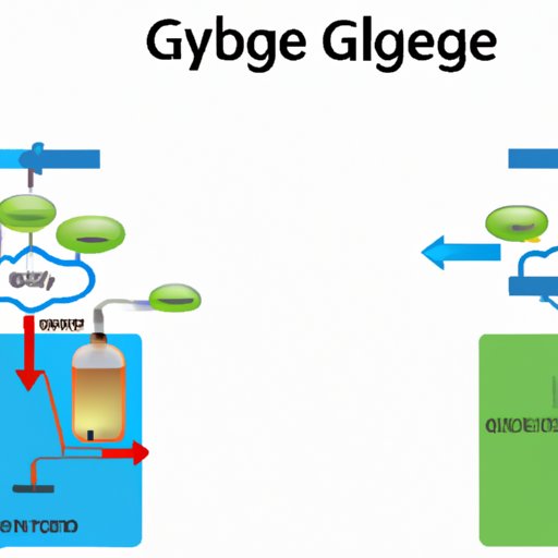 The Role of Glucose and Oxygen in Cellular Respiration
