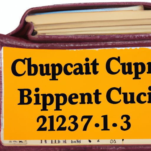 Examining How Chapter 13 Bankruptcy Affects Credit Scores
