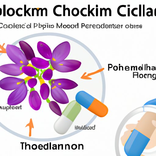 Examining the Role of Colchicine in Preventing and Treating Inflammation