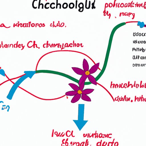 Exploring the Mechanism of Action of Colchicine
