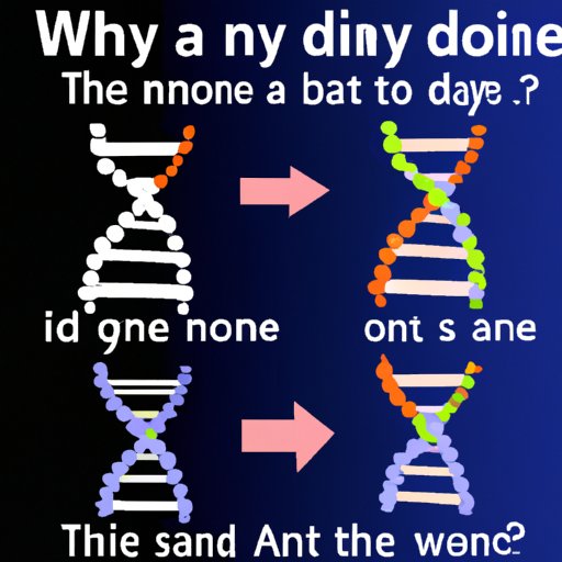 An Overview of the Steps Involved in DNA Reproduction