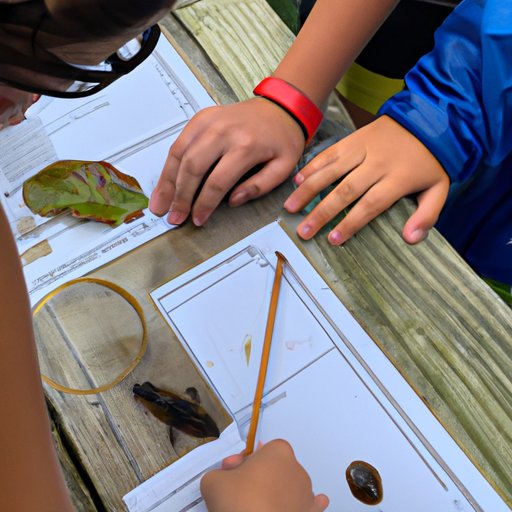 Examining How Different Species Interact in an Ecosystem