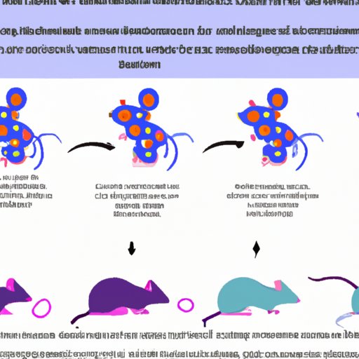 Exploring the Role of Genetics in Mice: How Heredity Affects Development and Behavior