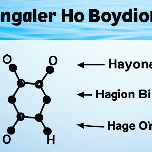 The Basics of Hydrogen Bonding: What You Need to Know