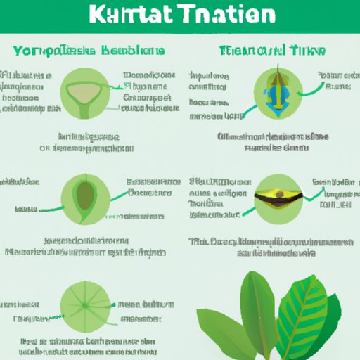 The Different Types of Kratom and Their Effects