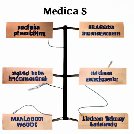 Comparing Different Types of Medical Schools
