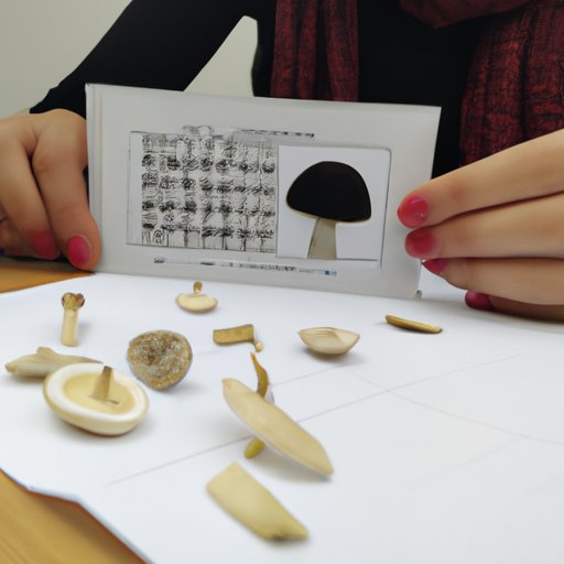 Analyzing the Cultural Significance of Mushrooms