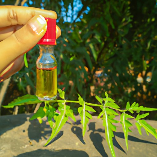 Understanding the Uses of Neem Oil in Organic Gardening 