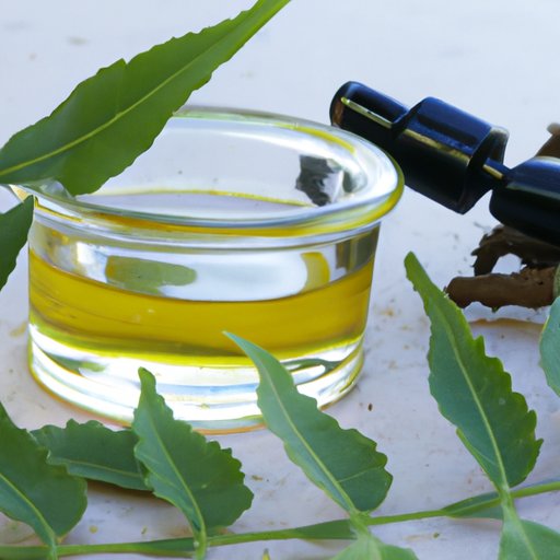 Investigating the Medicinal Properties of Neem Oil 
