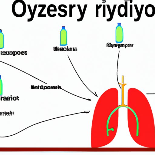 Understanding the Respiratory System and Its Role in Oxygen Delivery