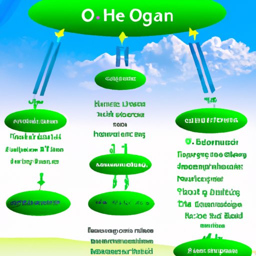 A Comprehensive Guide to Oxygen and Its Role in Human Health