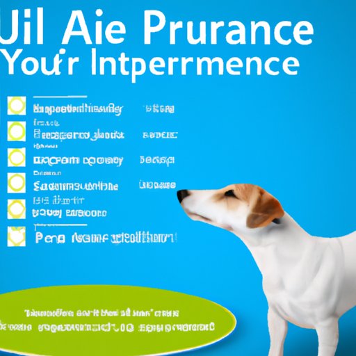 How to Choose the Right Pet Insurance Plan