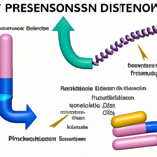 Exploring How Does Prednisone Work A Comprehensive Guide The