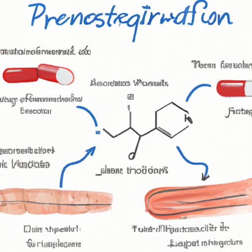 Understanding How Prednisone Treats Inflammation