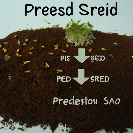 An Overview of Preseed and How It Works