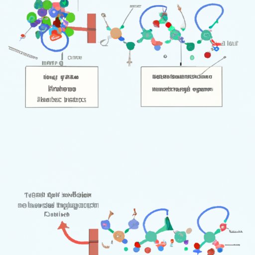 Illustrating the Molecular Mechanisms Behind Protein Synthesis