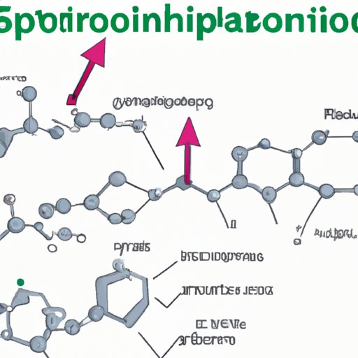 Exploring the Mechanisms of Action of Spironolactone