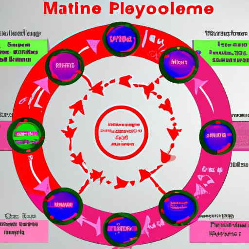 Overview of the Menstrual Cycle