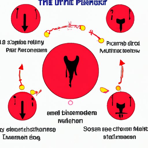 Exploring How The Menstrual Cycle Works An InDepth Guide The Enlightened Mindset